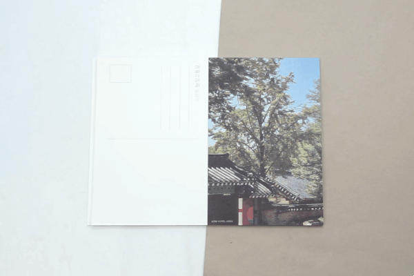 AC_[20231106-152142].gif